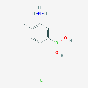 molecular formula C7H11BClNO2 B7766623 (5-Borono-2-methylphenyl)azanium;chloride 