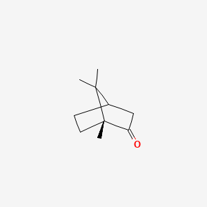 molecular formula C10H16O B7767059 (+)-Camphor 