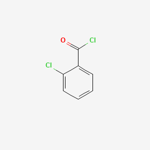 molecular formula C7H4Cl2O B7767634 2-Chlorobenzoyl chloride CAS No. 1321-03-5