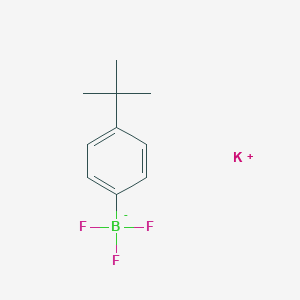 molecular formula C10H13BF3K B7768315 potassium;(4-tert-butylphenyl)-trifluoroboranuide 