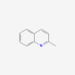 molecular formula C10H9N B7769805 2-Methylquinoline CAS No. 27601-00-9