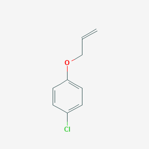 molecular formula C9H9ClO B077729 p-Chlorophenyl allyl ether CAS No. 13997-70-1