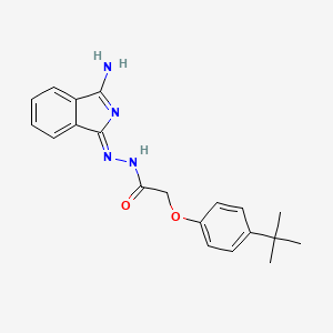 molecular formula C20H22N4O2 B7774827 N-[(Z)-(3-aminoisoindol-1-ylidene)amino]-2-(4-tert-butylphenoxy)acetamide 