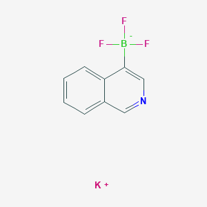 molecular formula C9H6BF3KN B7774984 potassium;trifluoro(isoquinolin-4-yl)boranuide 