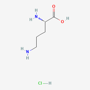 molecular formula C5H13ClN2O2 B7775973 L-Ornithine hydrochloride CAS No. 20724-48-5