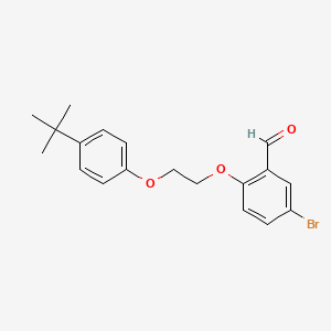 5-Bromo-2-[2-(4-tert-butylphenoxy)ethoxy]benzaldehyde