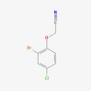 molecular formula C8H5BrClNO B7794123 2-(2-Bromo-4-chlorophenoxy)acetonitrile 