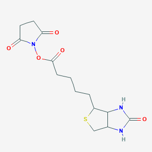 molecular formula C14H19N3O5S B7796521 2,5-dioxopyrrolidin-1-yl 5-{2-oxo-hexahydro-1H-thieno[3,4-d]imidazol-4-yl}pentanoate 