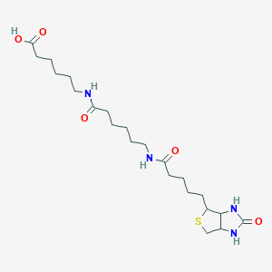 molecular formula C22H38N4O5S B7796621 N-Biotinylcaproylaminocaproic Acid 