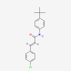 molecular formula C19H20ClNO B7797315 N-(4-Tert-butyl-phenyl)-3-(4-chloro-phenyl)-acrylamide 