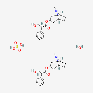 molecular formula C34H50N2O11S B7798688 Atropine (sulfate monohydrate) 