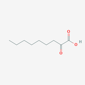 molecular formula C9H16O3 B078010 2-氧代壬酸 CAS No. 13139-94-1