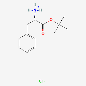molecular formula C13H20ClNO2 B7803286 CID 10777563 