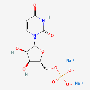 molecular formula C9H11N2Na2O9P B7803349 Uridine monophosphate disodium CAS No. 7545-48-4