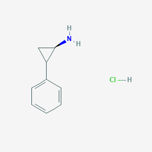 molecular formula C9H12ClN B7804044 Transamine hydrochloride 