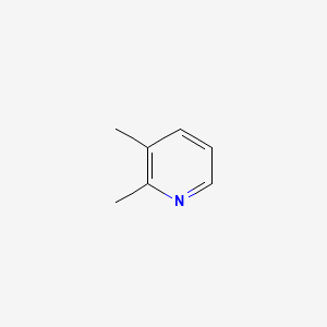 molecular formula C7H9N B7804276 2,3-Lutidine CAS No. 27175-64-0