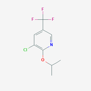 molecular formula C9H9ClF3NO B7805918 3-Chloro-2-(propan-2-yloxy)-5-(trifluoromethyl)pyridine 