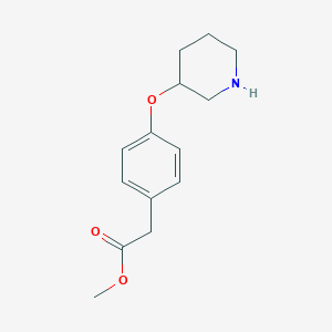 molecular formula C14H19NO3 B7805942 Methyl 2-[4-(piperidin-3-yloxy)phenyl]acetate HCl 