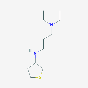 molecular formula C11H24N2S B7808918 N-[3-(Diethylamino)propyl]thiolan-3-amine 