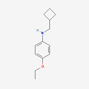 molecular formula C13H19NO B7809854 N-(cyclobutylmethyl)-4-ethoxyaniline CAS No. 356539-68-9
