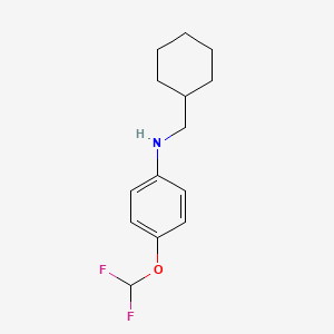 molecular formula C14H19F2NO B7815256 N-(cyclohexylmethyl)-4-(difluoromethoxy)aniline 