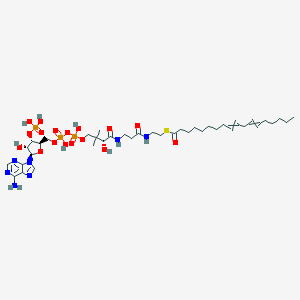 molecular formula C39H66N7O17P3S B078172 S-[2-[3-[[(2R)-4-[[[(2R,3S,4R,5R)-5-(6-aminopurin-9-yl)-4-hydroxy-3-phosphonooxyoxolan-2-yl]methoxy-hydroxyphosphoryl]oxy-hydroxyphosphoryl]oxy-2-hydroxy-3,3-dimethylbutanoyl]amino]propanoylamino]ethyl] octadeca-9,12-dienethioate CAS No. 13673-87-5