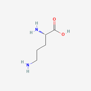 molecular formula C5H12N2O2 B7818445 L-(-)-Ornithine CAS No. 25104-12-5