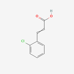 molecular formula C9H7ClO2 B7821656 3-(2-Chlorophenyl)acrylic acid 
