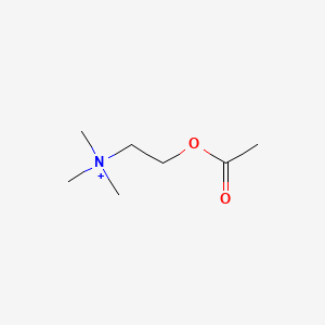 molecular formula C7H16NO2+ B7822042 Acetylcholine CAS No. 14047-05-3