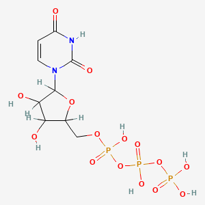 molecular formula C9H15N2O15P3 B7824544 Ara-utp 