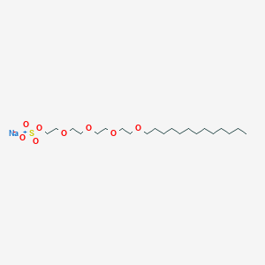 molecular formula C21H43NaO8S B7824811 sodium;2-[2-[2-(2-tridecoxyethoxy)ethoxy]ethoxy]ethyl sulfate 