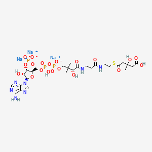 molecular formula C27H41N7Na3O20P3S B7826753 D,L-3-Hydroxy-3-methylglutaryl Coenzyme A trisodium salt 