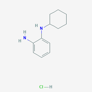 molecular formula C12H19ClN2 B7829757 N-cyclohexylbenzene-1,2-diamine hydrochloride 