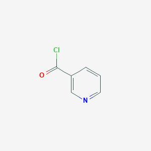 molecular formula C6H4ClNO B078323 Nicotinoyl chloride CAS No. 10400-19-8