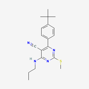 molecular formula C19H24N4S B7834936 4-(4-TERT-BUTYLPHENYL)-2-(METHYLSULFANYL)-6-(PROPYLAMINO)PYRIMIDINE-5-CARBONITRILE 