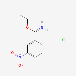 molecular formula C9H11ClN2O3 B7838559 alpha-Ethoxy-m-nitrobenzylideneammonium chloride 