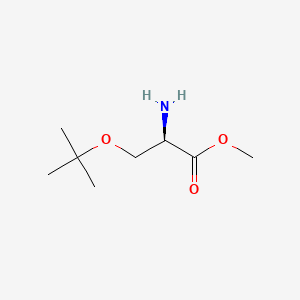 Methyl (2R)-2-amino-3-(tert-butoxy)propanoate