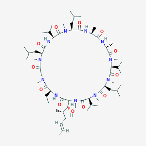 molecular formula C61H109N11O12 B7839231 cyclosporin A 