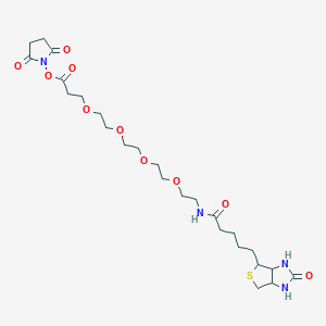 molecular formula C25H40N4O10S B7840624 Biotin-PEG4-NHS 