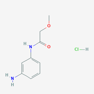 molecular formula C9H13ClN2O2 B7841179 N-(3-aminophenyl)-2-methoxyacetamide hydrochloride 