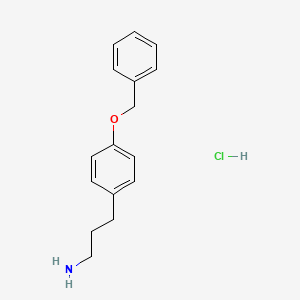 molecular formula C16H20ClNO B7853943 3-[4-(Benzyloxy)phenyl]propan-1-amine hydrochloride 
