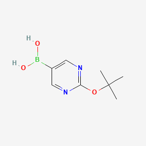 molecular formula C8H13BN2O3 B7854037 2-Tert-butoxy-pyrimidine-5-boronic acid 