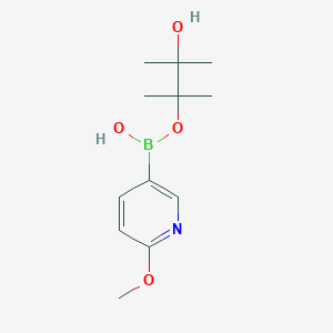 molecular formula C12H20BNO4 B7854040 3-Hydroxy-2,3-dimethylbutan-2-yl hydrogen 6-methoxypyridin-3-ylboronate 