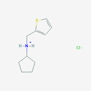 molecular formula C10H16ClNS B7854952 Cyclopentyl(thiophen-2-ylmethyl)azanium;chloride 