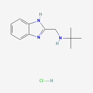 N-((1H-benzo[d]imidazol-2-yl)methyl)-2-methylpropan-2-amine hydrochloride