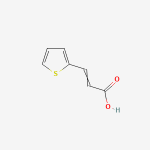 molecular formula C7H6O2S B7855436 3-Thiophen-2-ylprop-2-enoic acid 
