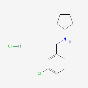 molecular formula C12H17Cl2N B7855439 N-[(3-Chlorophenyl)methyl]cyclopentanamine hydrochloride 