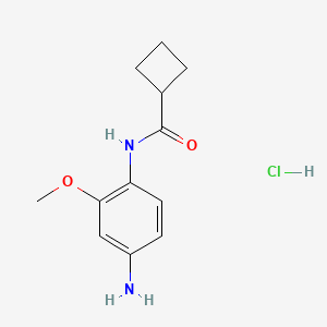 molecular formula C12H17ClN2O2 B7855783 N-(4-amino-2-methoxyphenyl)cyclobutanecarboxamide hydrochloride 