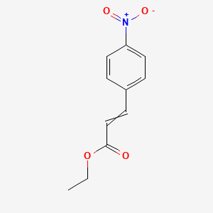 molecular formula C11H11NO4 B7855948 4-Nitrocinnamic Acid Ethyl Ester 