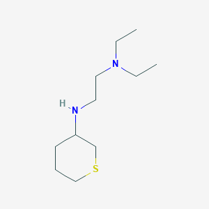 molecular formula C11H24N2S B7858155 N1,N1-Diethyl-N2-(tetrahydro-2H-thiopyran-3-yl)ethane-1,2-diamine 